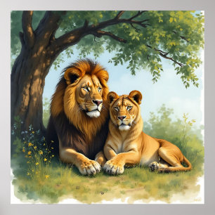Lion and Lioness Under a Tree Poster