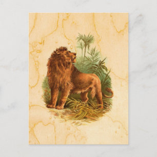 Lion and Palm Trees Vintage Postcard