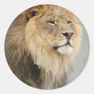 lion art classic round sticker