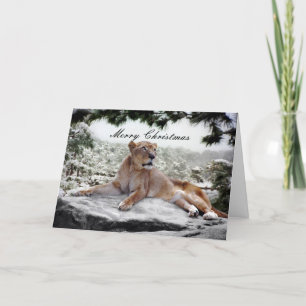 Lion at Christmas Holiday Card