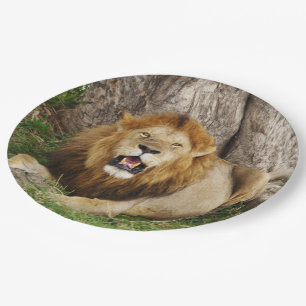 Lion at Maasai Mara 1 Paper Plate