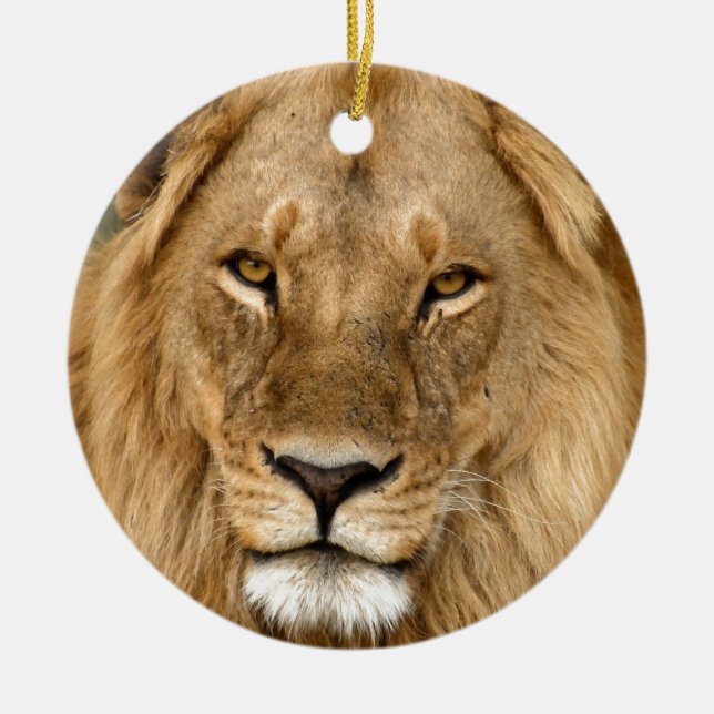 Lion Avec Grand Mane, Ornement En Céramique (Devant)