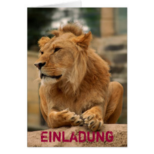 Lion avec une coupe de punk