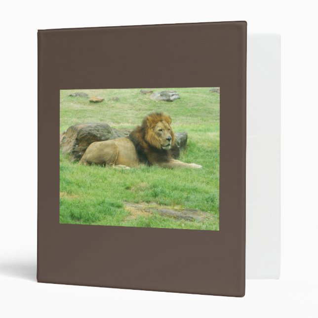 Lion Avery Classeur (Devant/intérieur)