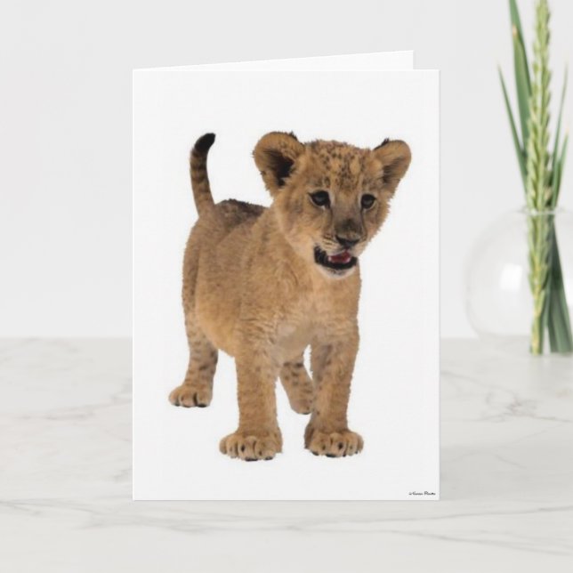 Lion Baby Card (Front)