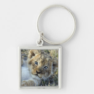 Lion Baby Keychain