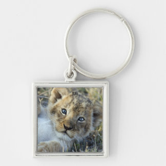 Lion Baby Keychain
