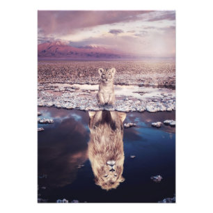 Lion Baby Lion Will Grow Up Photo Print