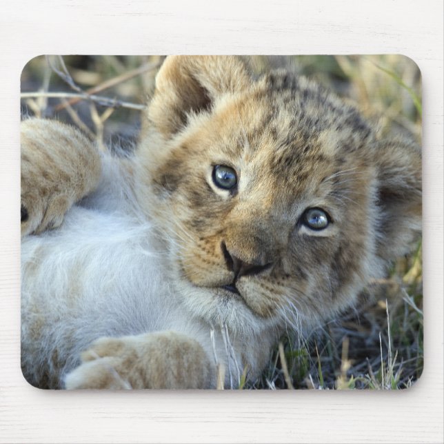 Lion Baby Mouse Pad (Front)