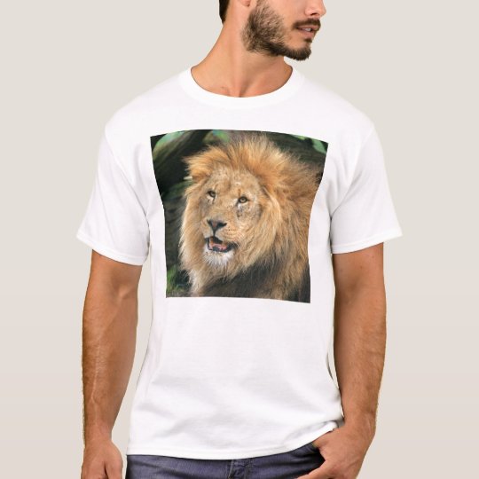 lion beautiful portrait unisex mens ladies t-shirt