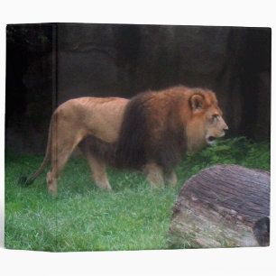 Lion Binder