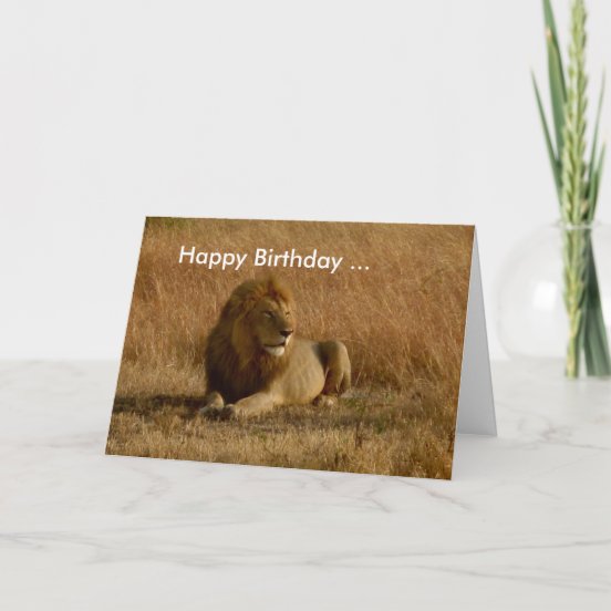 Lion Birthday Cards | Zazzle CA