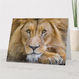 LION BIRTHDAY GREETING CARD