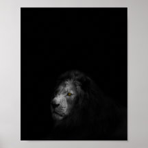 Lion, black and white photograph,