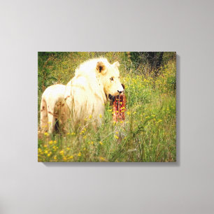 Lion blanc en toile d'Afrique