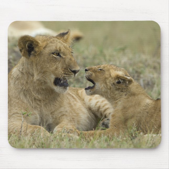 Lion Brothers Mouse Pad (Front)