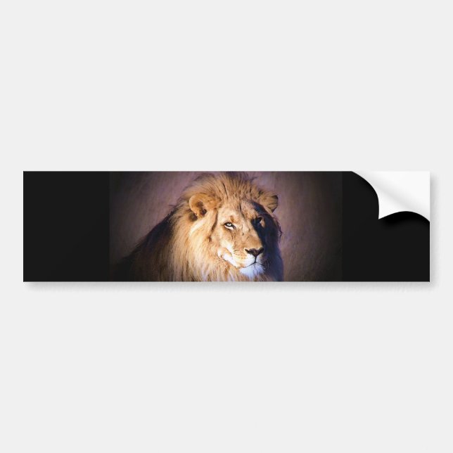 Lion Bumper Sticker (Front)
