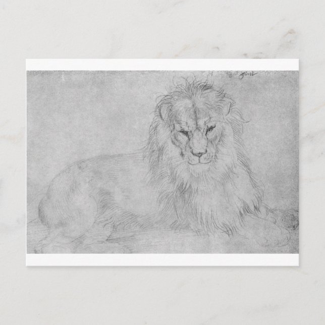 Lion by Albrecht Durer Postcard (Front)