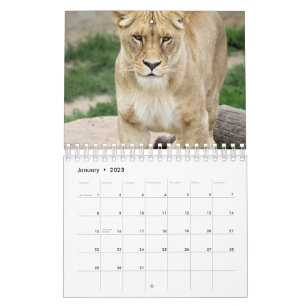 Lion Calendar