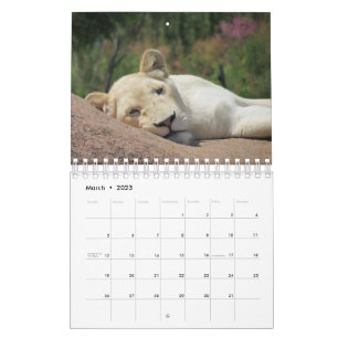 Lion Calendar