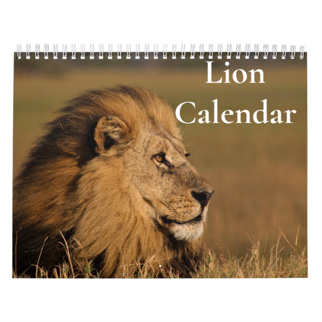 Lion Calendar 2024 (Cover)