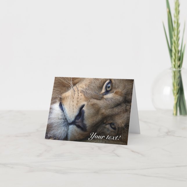 Lion Carte de remerciements (Devant)