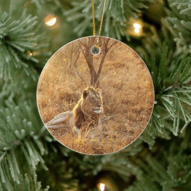 Lion Ceramic Ornament (Tree)