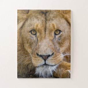  LION CLOSEUP PHOTOGRAPHY JIGSAW PUZZLE
