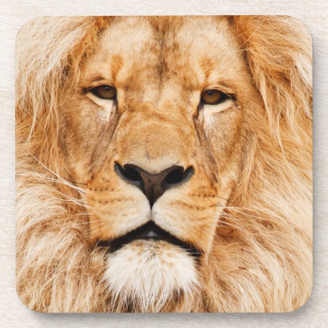 Lion Coaster (Front)