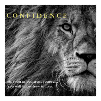 Lion Confidence Quote Inspirational