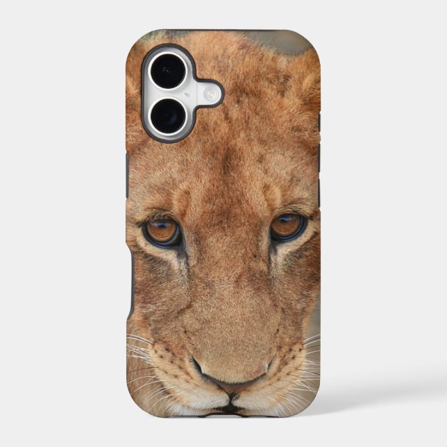 Lion Cub (Back)