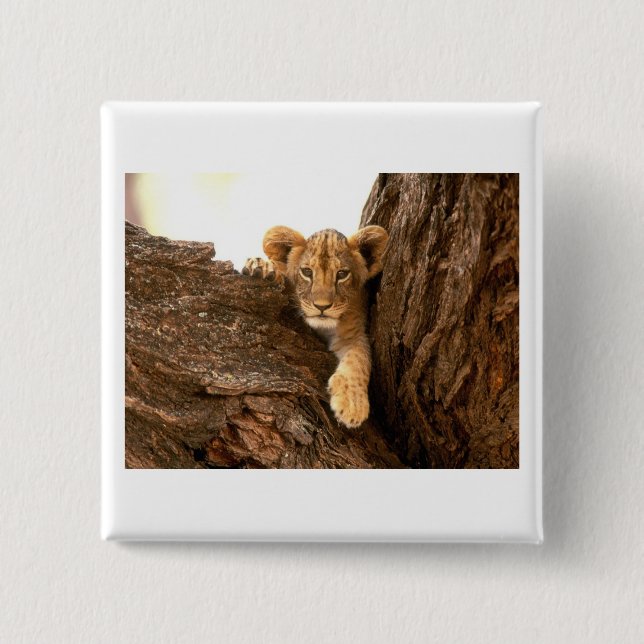 Lion Cub 2 Inch Square Button (Front)