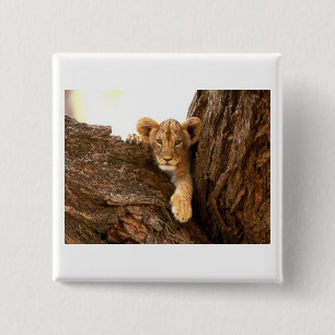 Lion Cub 2 Inch Square Button