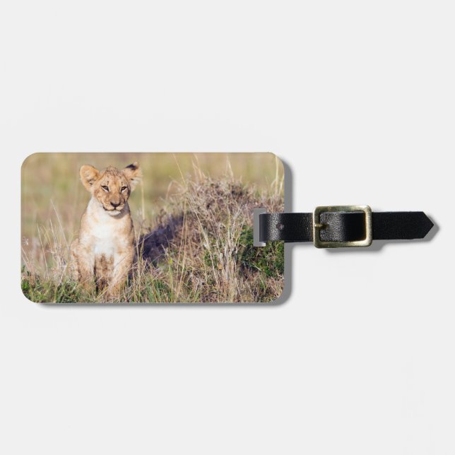 Lion cub in Africa wildlife photo Luggage Tag (Front Horizontal)