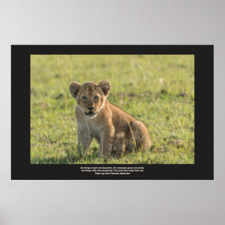 Lion Cub In Natural Setting Personalize Text  Poster