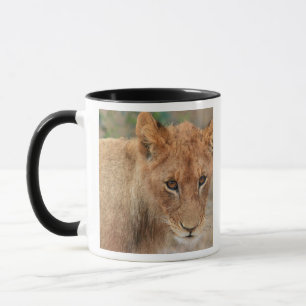 Lion Cub Mug