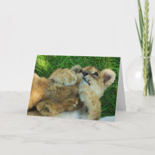 Lion Cub Note Card 4