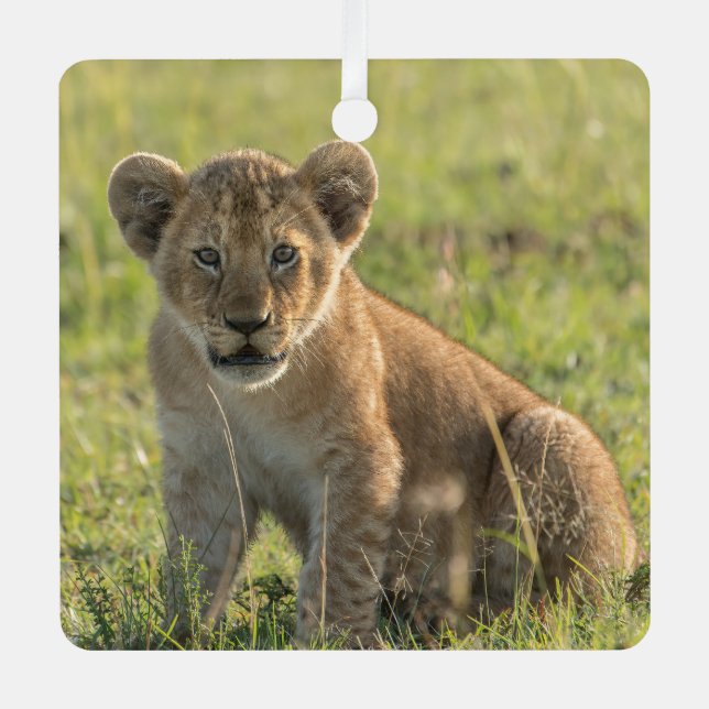 Lion Cub Personalize Name or Text & Date Christmas Metal Ornament (Front)