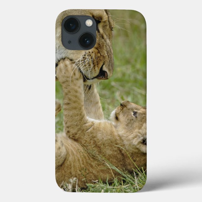 Lion Cub Playing Case-Mate iPhone Case (Back)