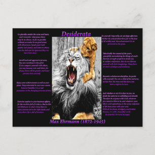 Lion Cub Postcard