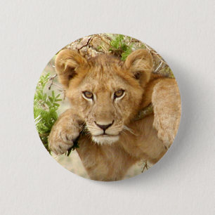 Lion Cub ROUND Button