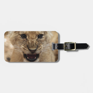 Lion cub snarling luggage tag