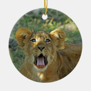 Lion Cub Yawn Ceramic Ornament