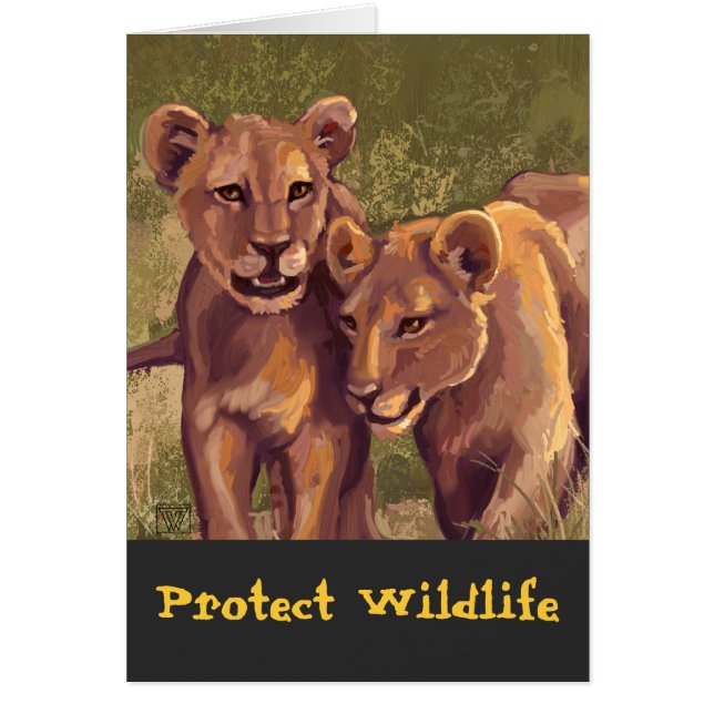 Lion Cubs (Front)