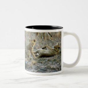 Lion cubs at play Mug
