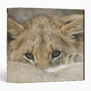 Lion Cub's Face Binder