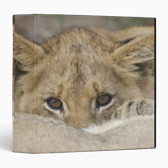 Lion Cub's Face Binder (Front/Spine)