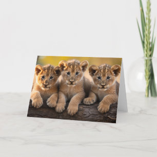 Lion Cubs Greeting Card