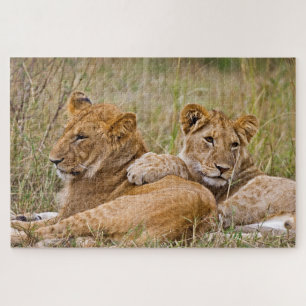 Lion Cubs Lounging Jigsaw Puzzle
