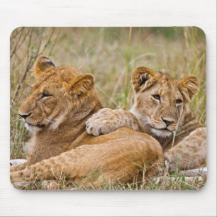 Lion Cubs Lounging Mouse Pad